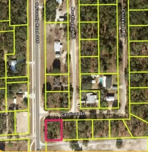101 Cardinal Dr, Interlachen, FL 32148 photo 1