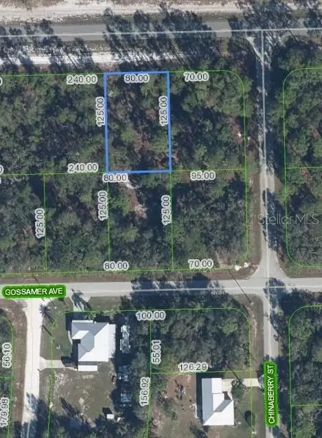 3226 Lake June Blvd, Lake Placid, FL 33852