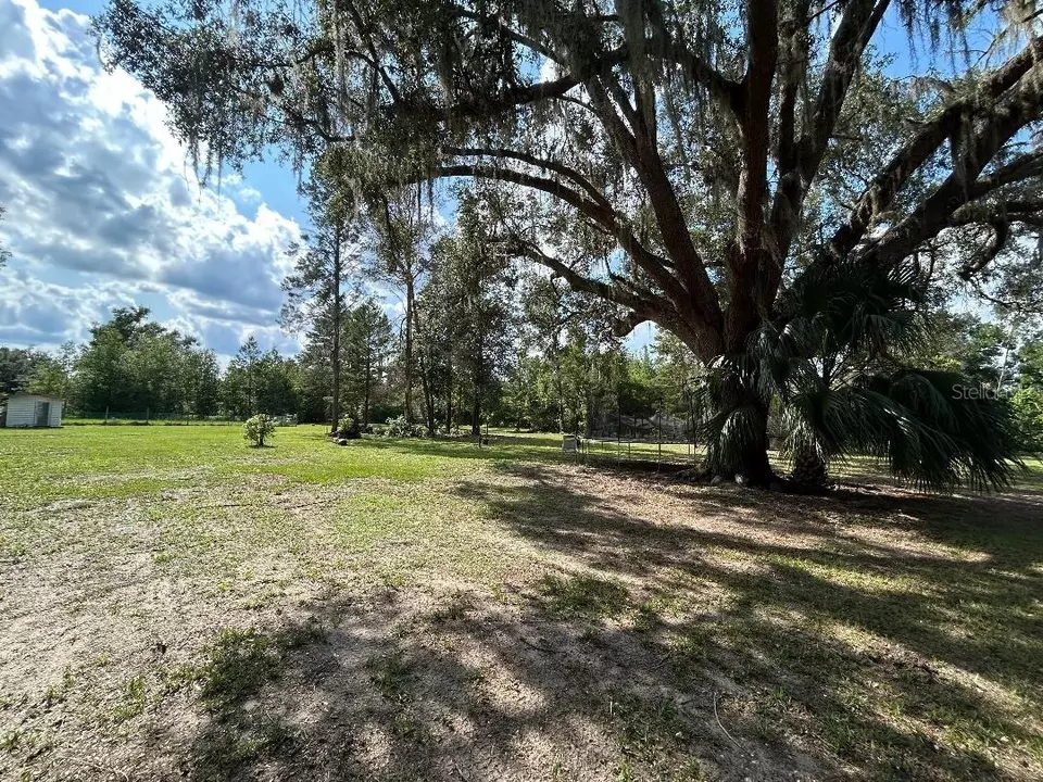  6736 Cr 772, Webster, FL 33597 photo 15