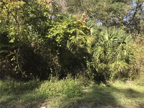 lot14 Lake, Panasoffkee, FL 33538