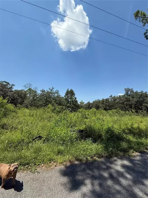 1356 Montzen Rd, Davenport, FL 33896