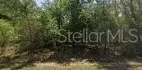 8545 N Wallingford Ave, Dunnellon, FL 34434