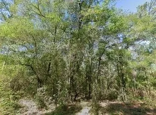 491 E Nemo Dr, Dunnellon, FL 34434