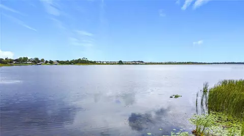 2615 Hickory Tree Rd, Saint Cloud, FL 34772 photo 9