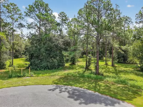 35734 High Pines Dr, Eustis, FL 32736 photo 18