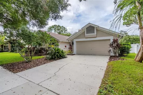 17307 Lockwood Ridge Dr, Tampa, FL 33647