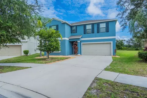 10114 Carloway Hills Dr, Wimauma, FL 33598