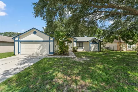 307 Drake Elm Dr, Kissimmee, FL 34743