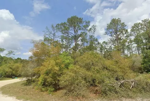 Dolphin Drive, Georgetown, FL 32139