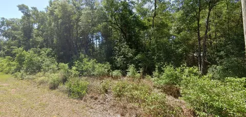 00 SW Starling Dr, Dunnellon, FL 34431