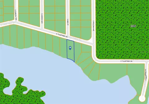 10124 E Tulip Tree Dr, Inverness, FL 34450