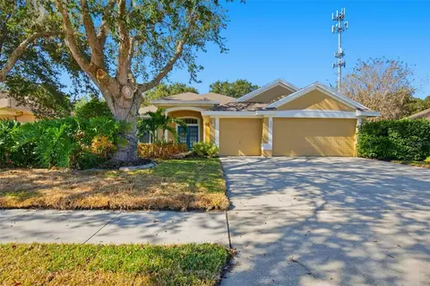 342 Mane Ct, Tarpon Springs, FL 34688