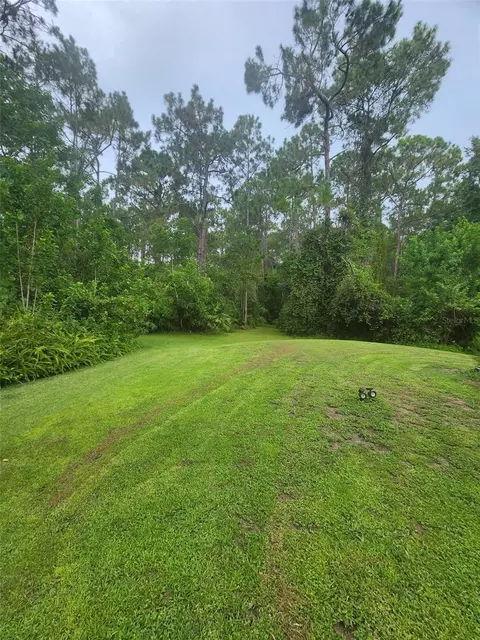 2380 Shepherd Ave, Saint Cloud, FL 34771 photo 4