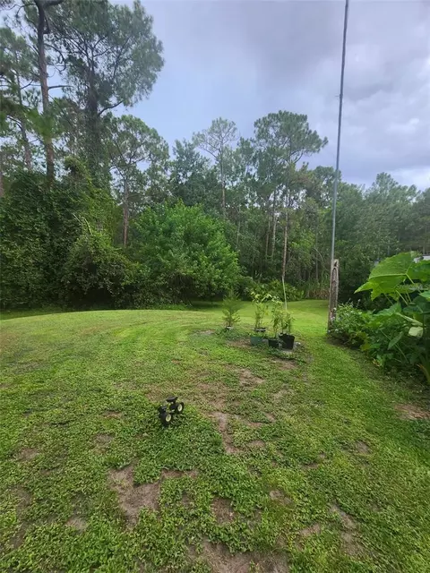 2380 Shepherd Ave, Saint Cloud, FL 34771 photo 8