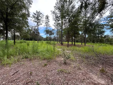 16051 SW 44 St, Ocala, FL 34481