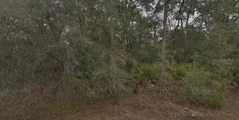 130 132 Bream Dr, Interlachen, FL 32148