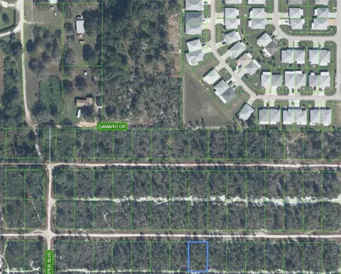 629 Parakeet Ave, Sebring, FL 33872 photo 2