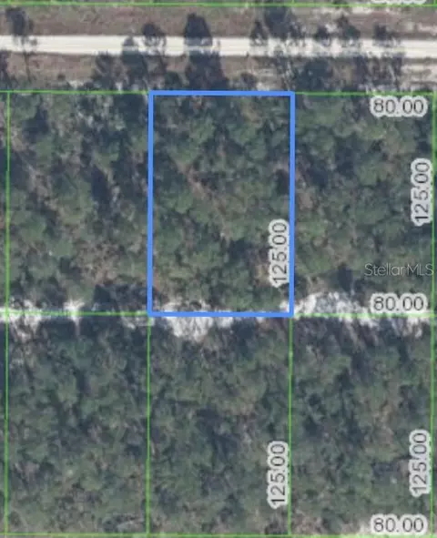 629 Parakeet Ave, Sebring, FL 33872