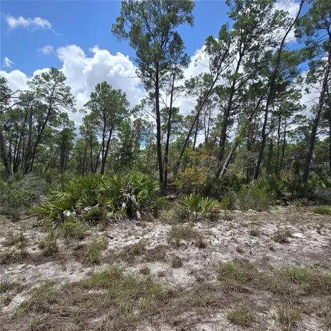 629 Parakeet Ave, Sebring, FL 33872 photo 4
