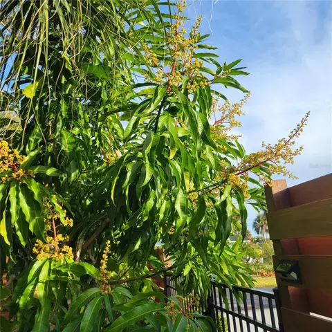 Exterior - 755 Kent Rd, Venice, FL 34293 photo 6 of 6