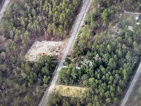 Narcissus, Dunnellon, FL 34431