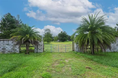 34534 Tree Frog Ln, Eustis, FL 32736 photo 3