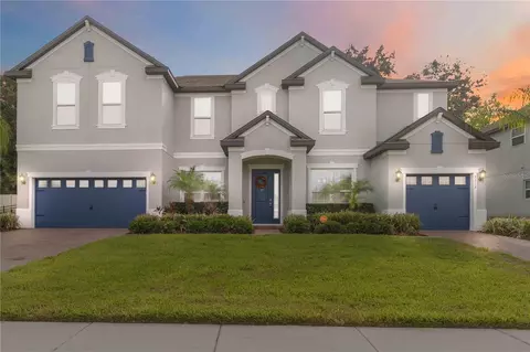 3113 Pinenut Dr, Apopka, FL 32712