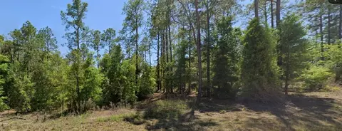 Se 5th Place, Williston, FL 32696