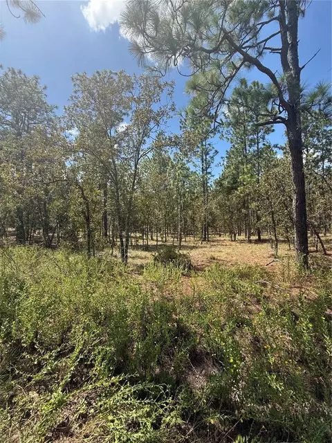 NW Ridgewood Road, Dunnellon, FL 34431