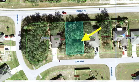 193 Conch Dr, Kissimmee, FL 34759