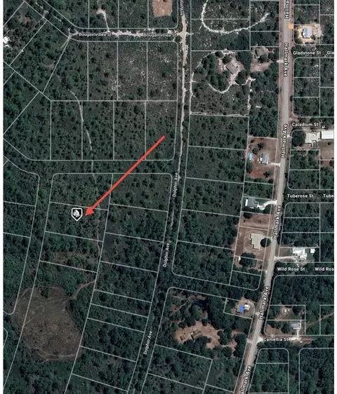 745 Marlin St, Lake Placid, FL 33852