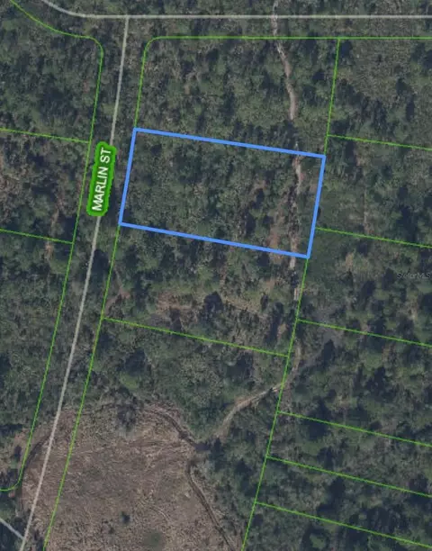 745 Marlin St, Lake Placid, FL 33852