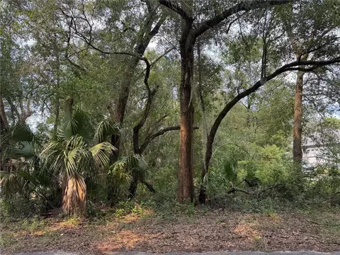Strawberry Avenue, Sorrento, FL 32776