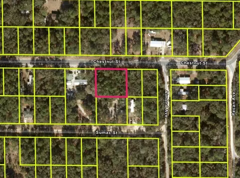 Chestnut Street, Interlachen, FL 32148