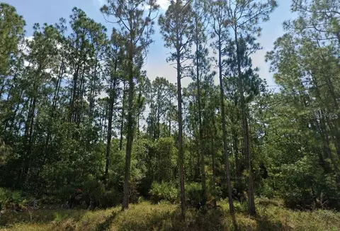 6028 Dian Ave, Sebring, FL 33875