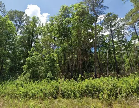 101 103 Longhorn Ln, Florahome, FL 32140