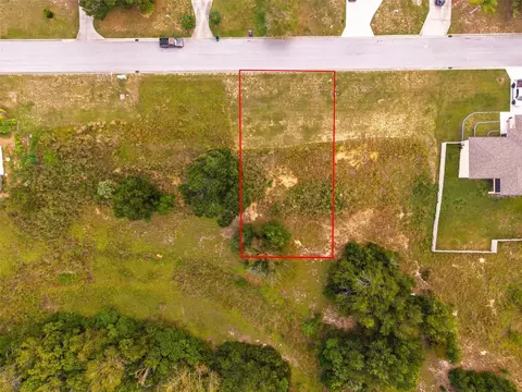 Morningview Drive, Eustis, FL 32726