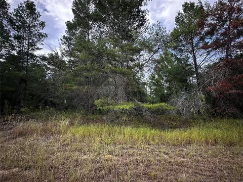 lot25 Fisher Run, Ocklawaha, FL 32179