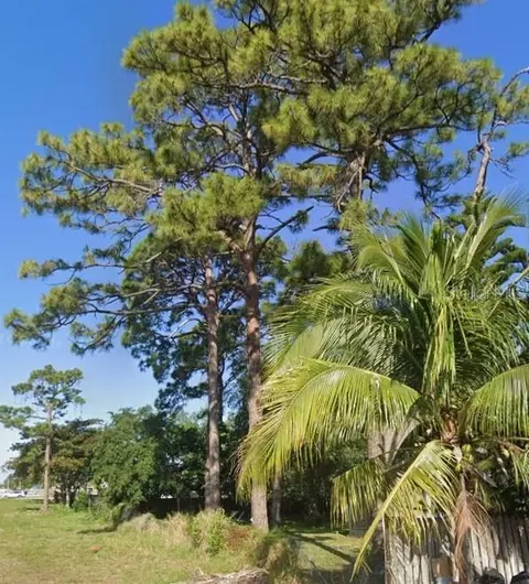 00 Cambridge St, Lake Worth, FL 33463