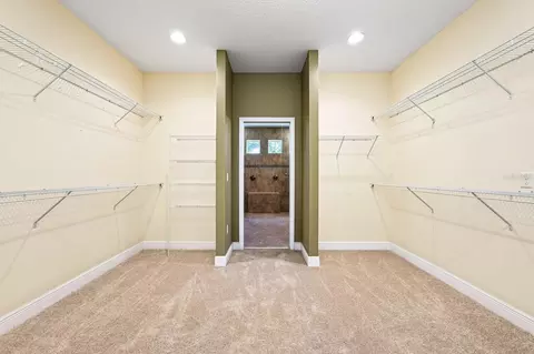 Other - 2522 Tree Meadow Loop, Apopka, FL 32712 photo 3 of 8