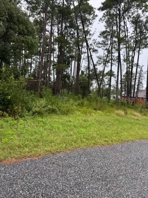 1478 6th Ave, Deland, FL 32724