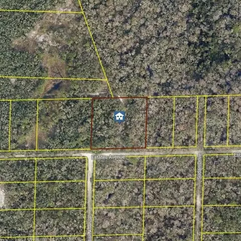 Rose Bloom Ave, Webster, FL 33597