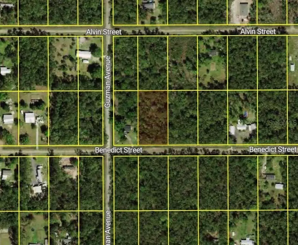  4260 Benedict St, Hastings, FL 32145 photo 2