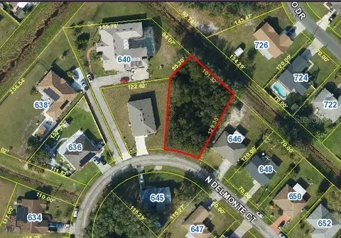 N Delmonte Court, Kissimmee, FL 34758