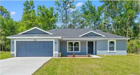 138 Guava Pass Ter, Ocklawaha, FL 32179