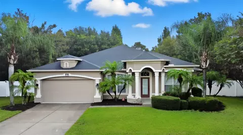 3193 Toho Ct, Kissimmee, FL 34744