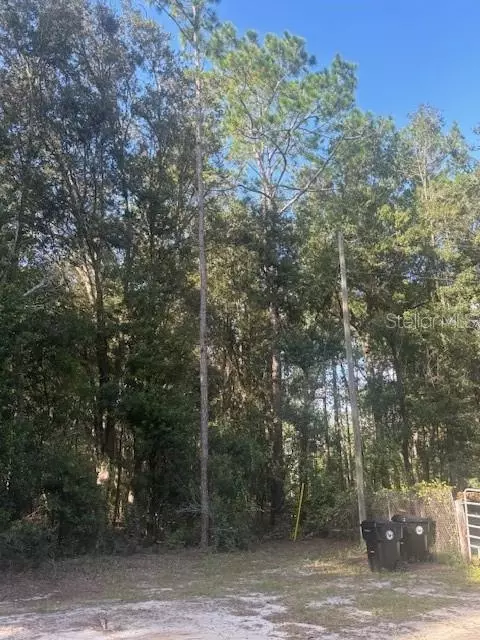 000 Stardust Ln, Melrose, FL 32666