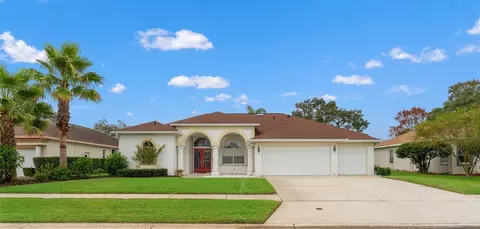 441 Rio Vista Ct, Spring Hill, FL 34608