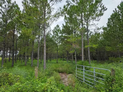 10830 Moore Rd, Lakeland, FL 33809