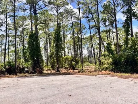 Chinaberry Way, Eustis, FL 32736 photo 3